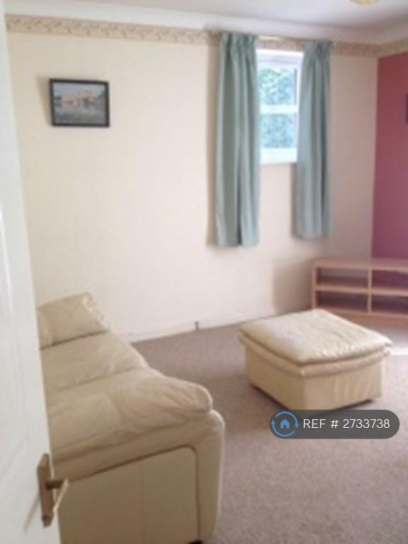 Living Room (Additional View)