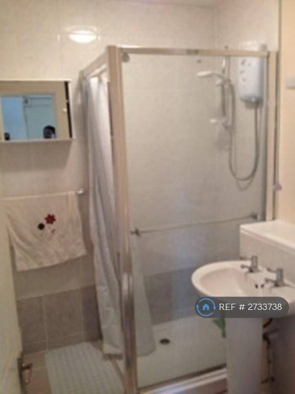 Bathroom (Additional View)
