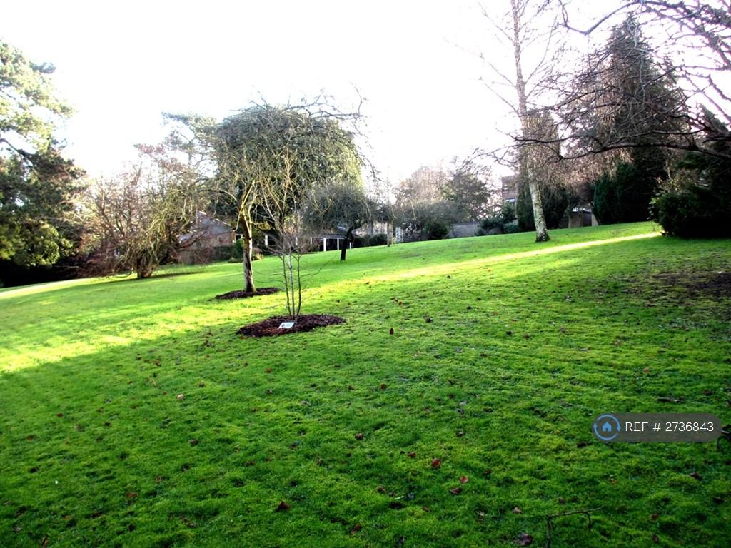 Communal Gardens