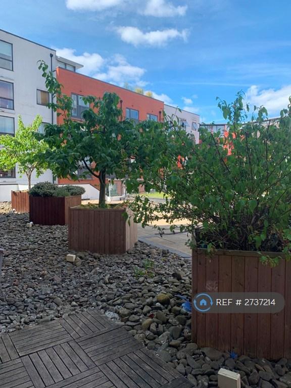 Private Decking Area
