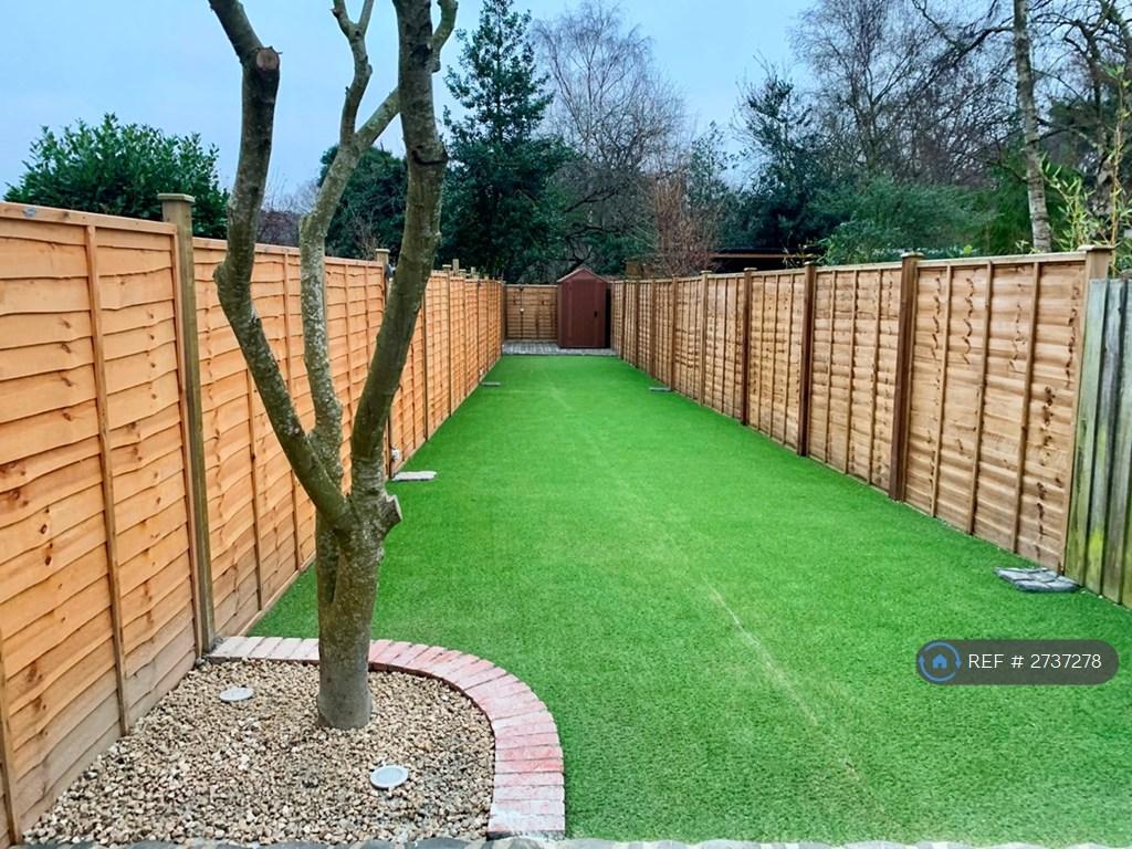Back Garden