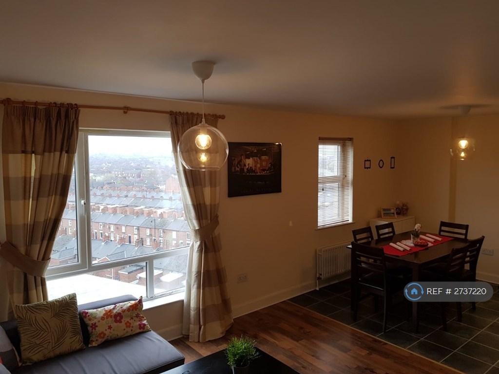 Main Living Area