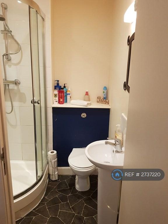 Ensuite Shower And Toilet