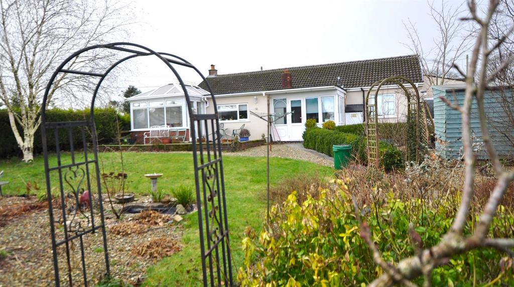 Dsc 0047.jpg