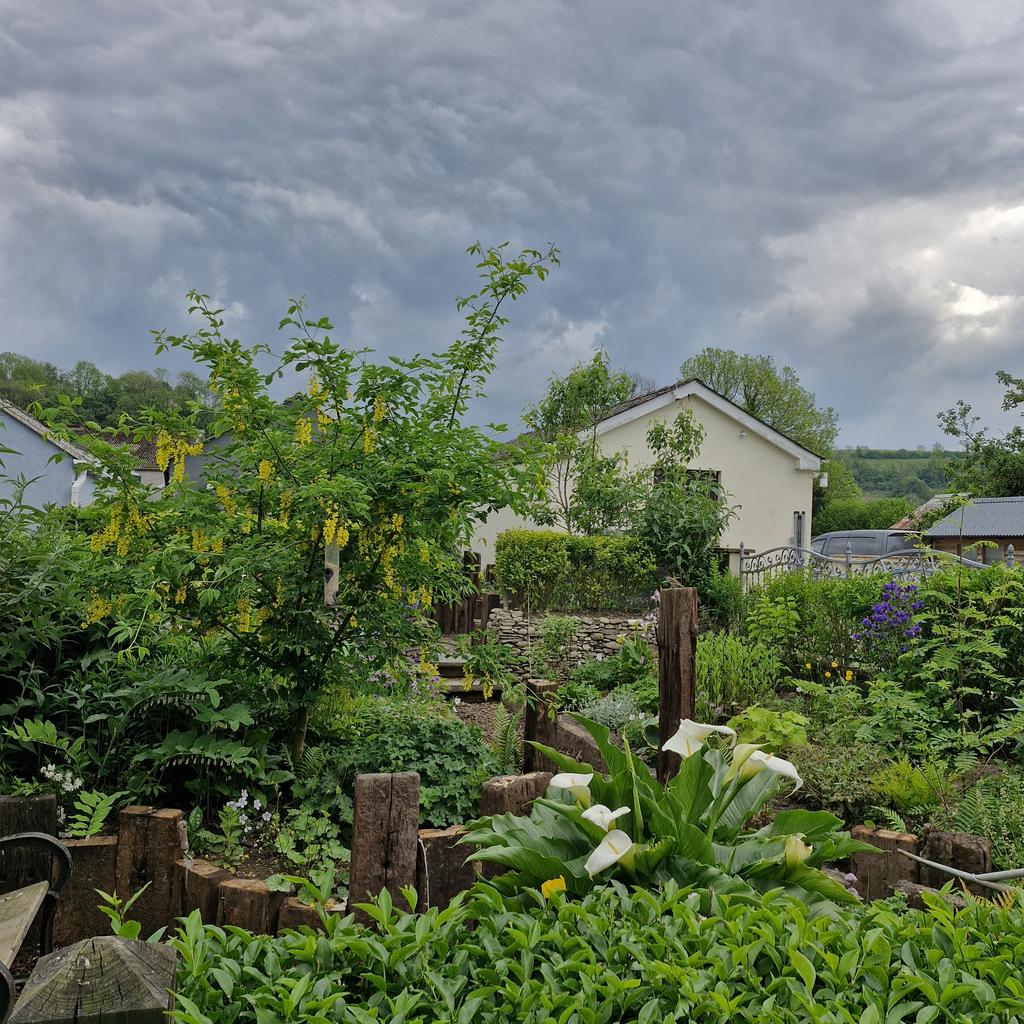 Garden (second image)