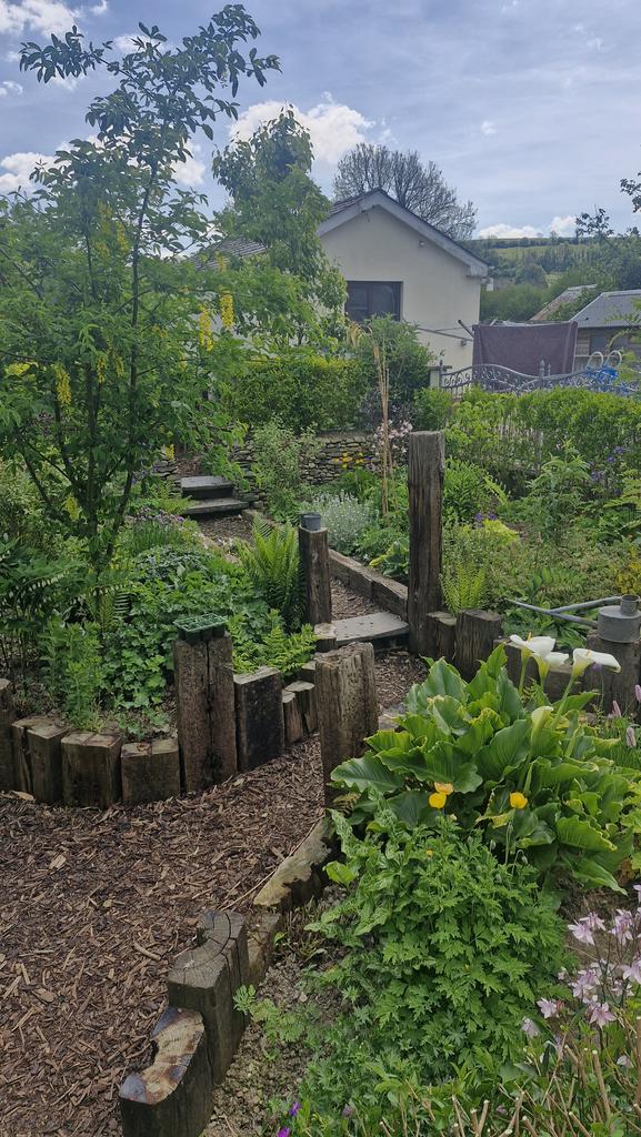 Garden (third image)