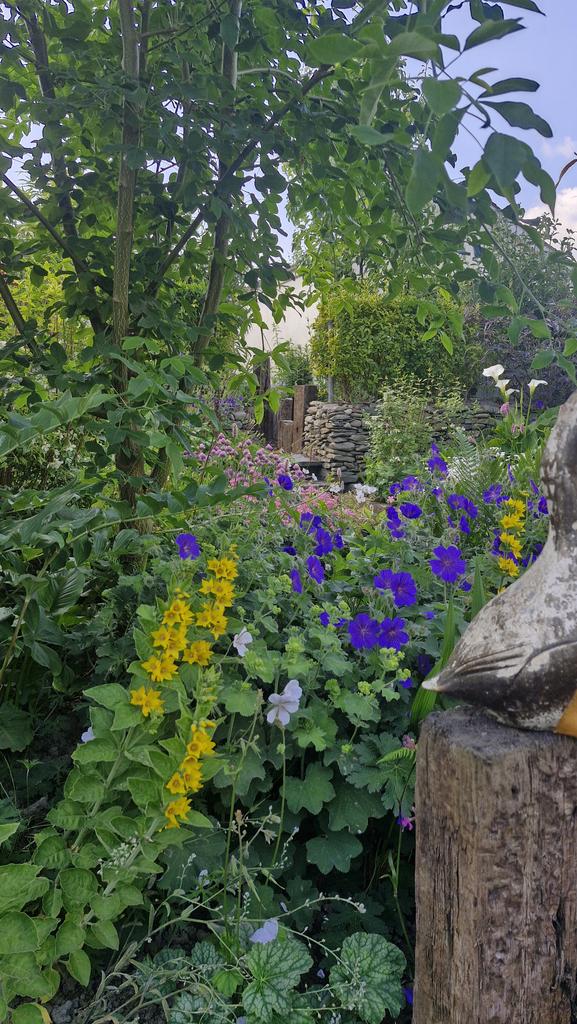 Garden (fourth image)