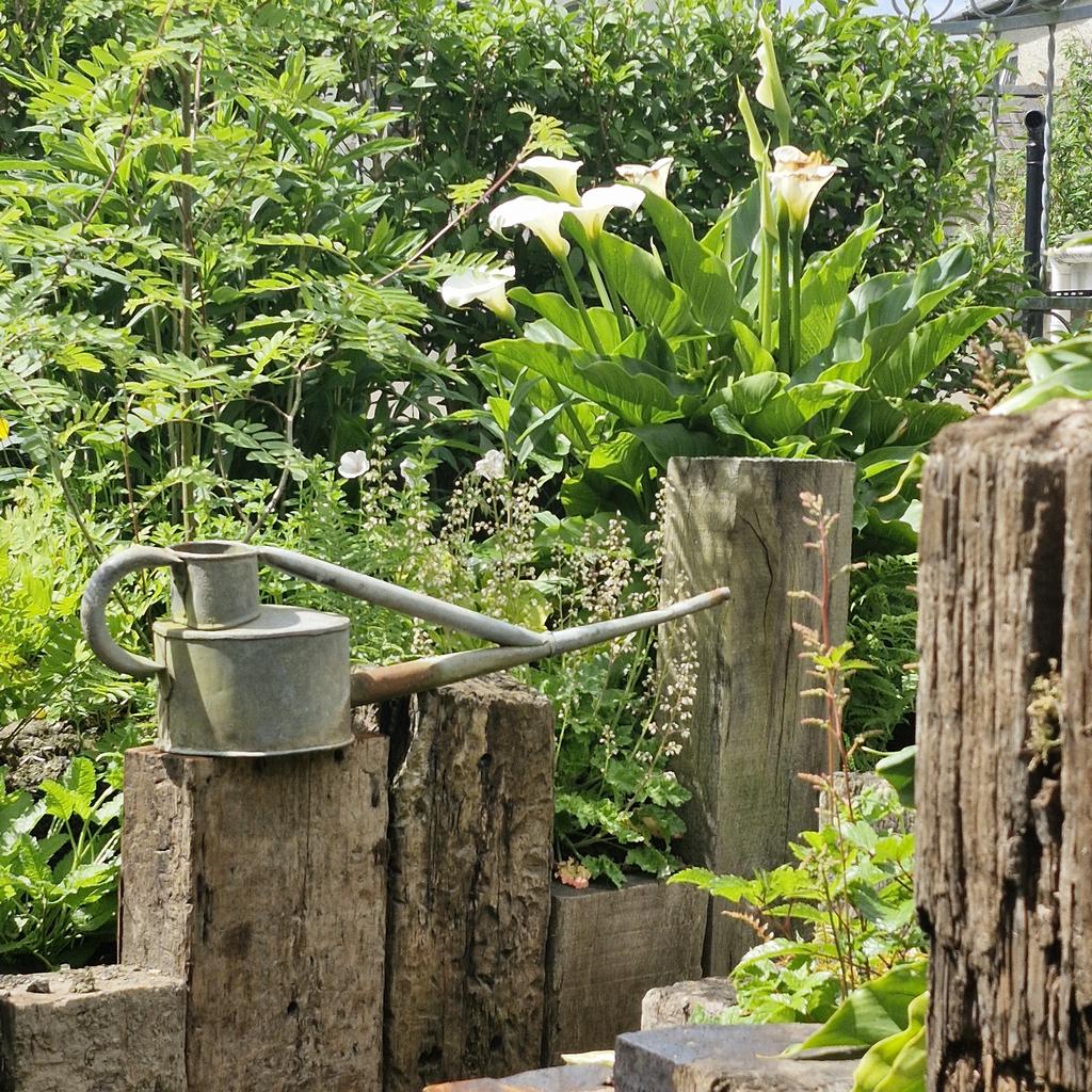 Garden (fifth image)
