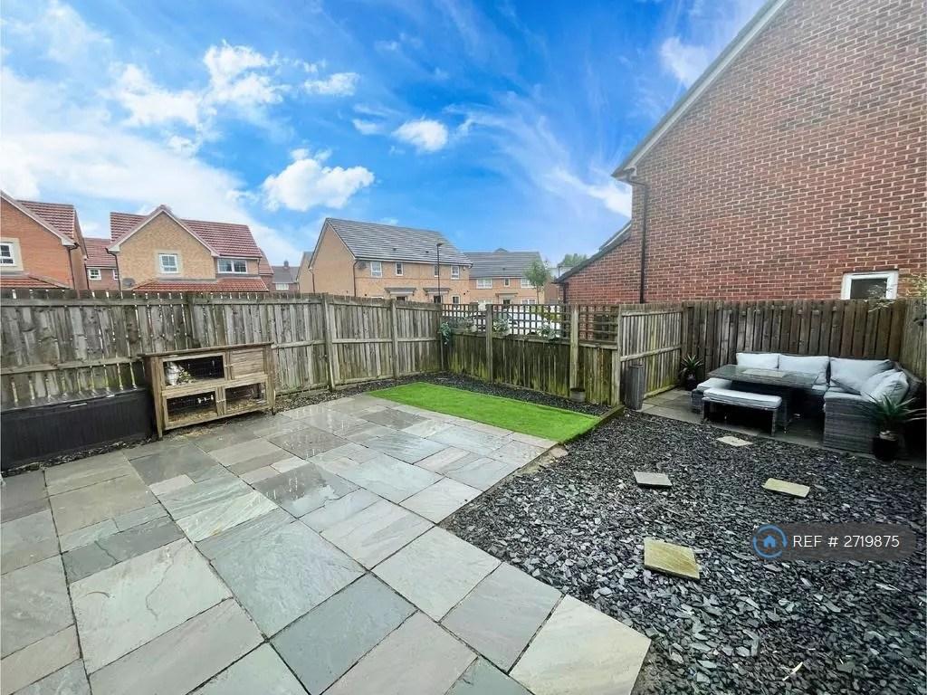Back Garden