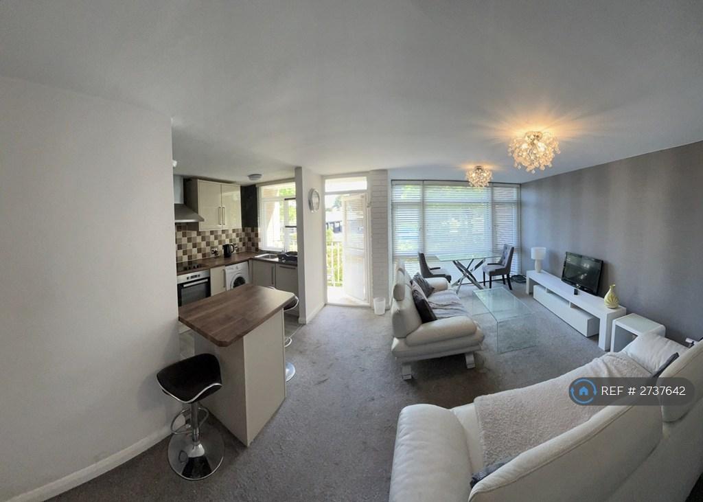 Kitchen &amp; Living Area