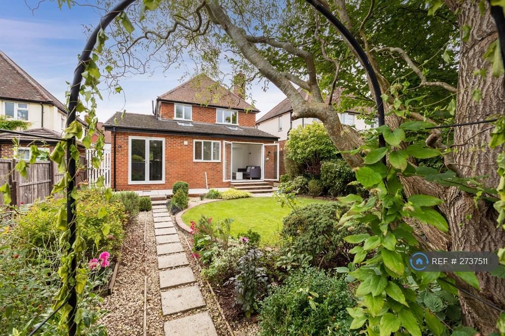 Rear Garden 3