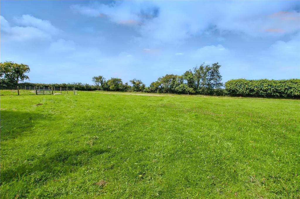 Field