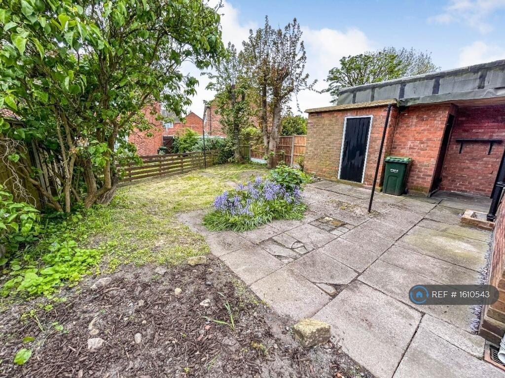 Back Garden