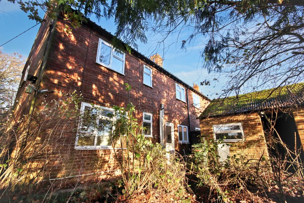 20251127040612 img 6195 wt8oe jpg