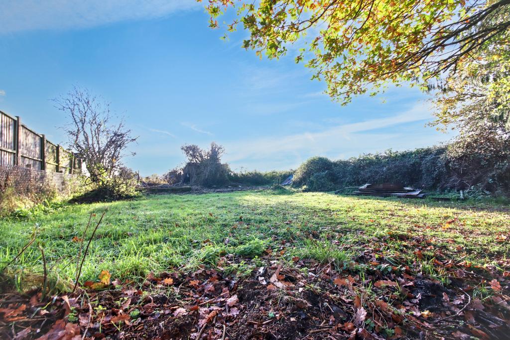 20251127040613 img 6192 bva47 jpg