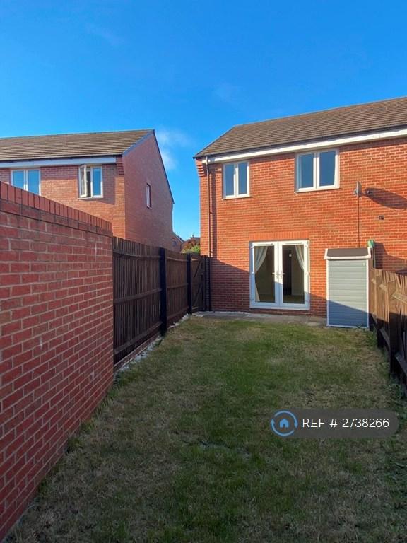 Back Garden