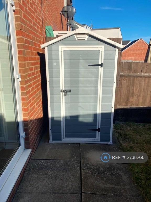 Back Garden - Shed