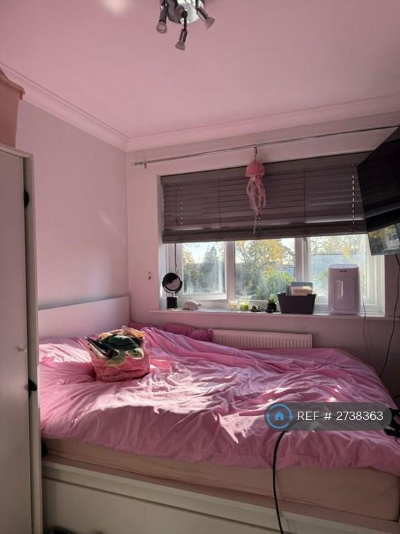 The Room