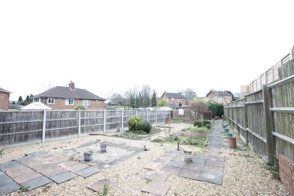 Garden .jpg