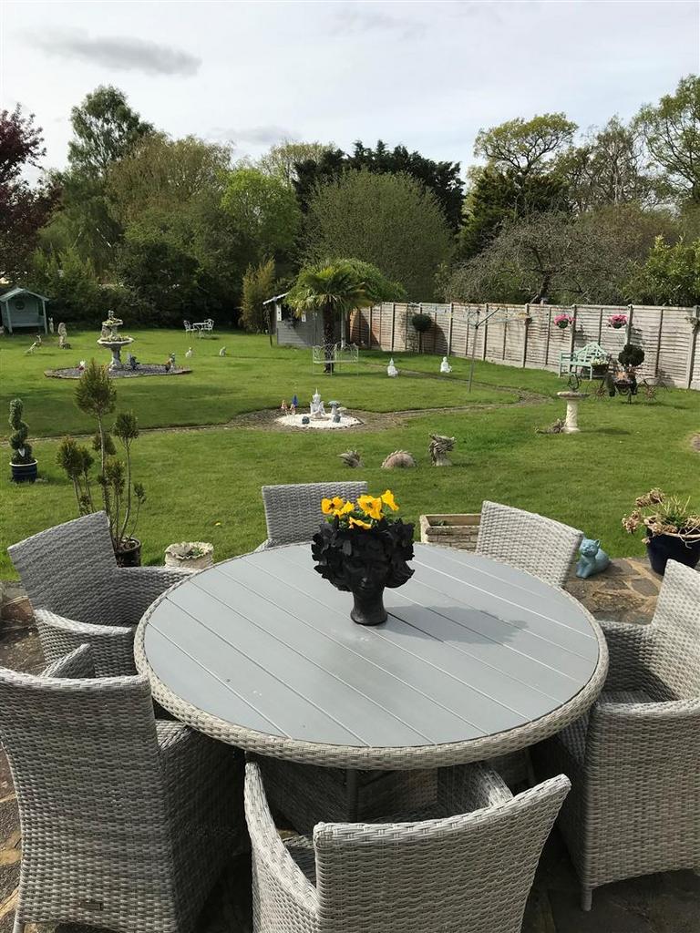Summer Garden 2.jpg