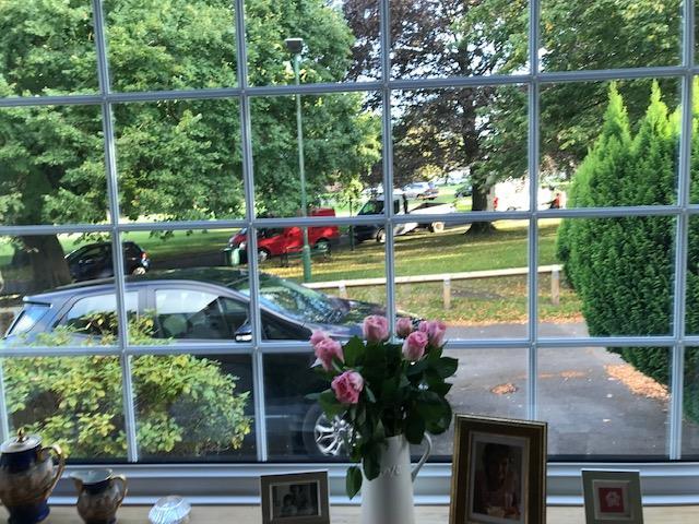 View from lounge