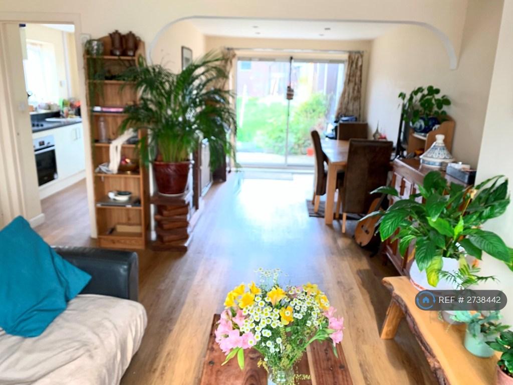 Living Room + Dining
