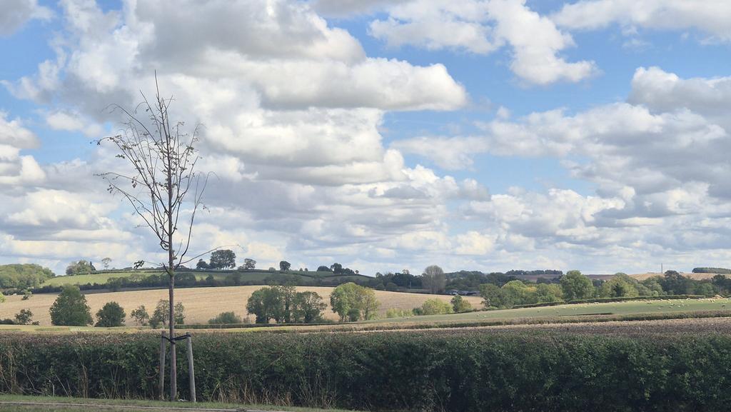 Surrounding Countryside