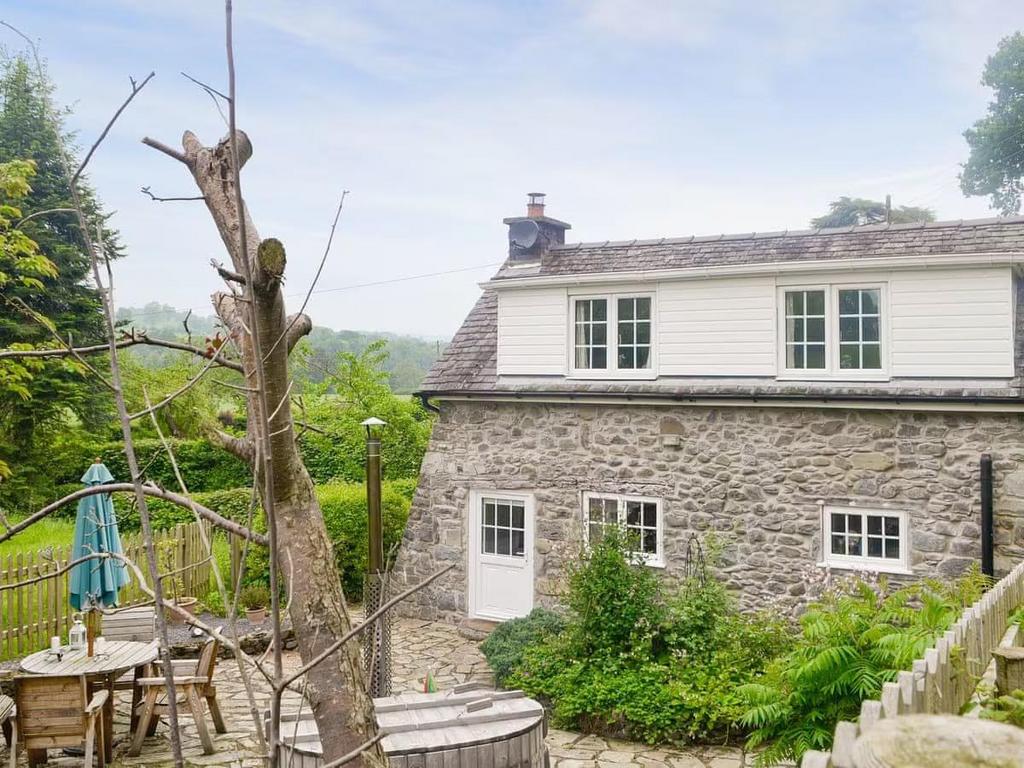 Rear patio.jpg
