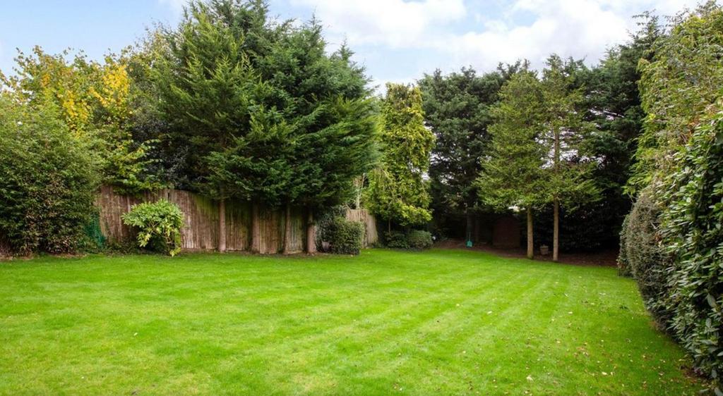 6 Garden view 3.png