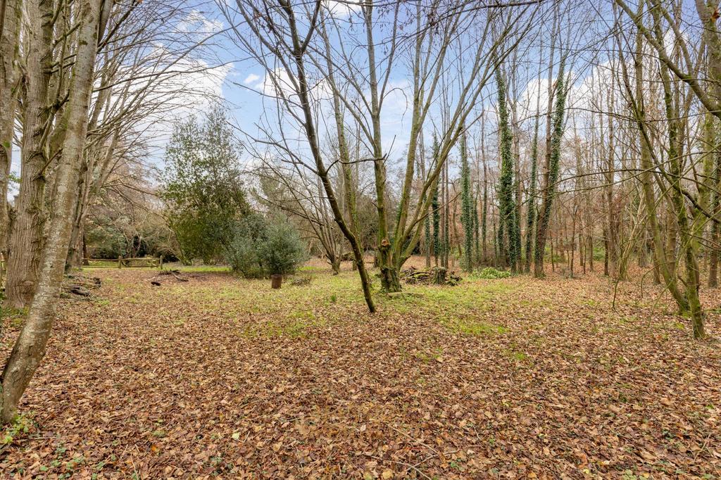Woodland