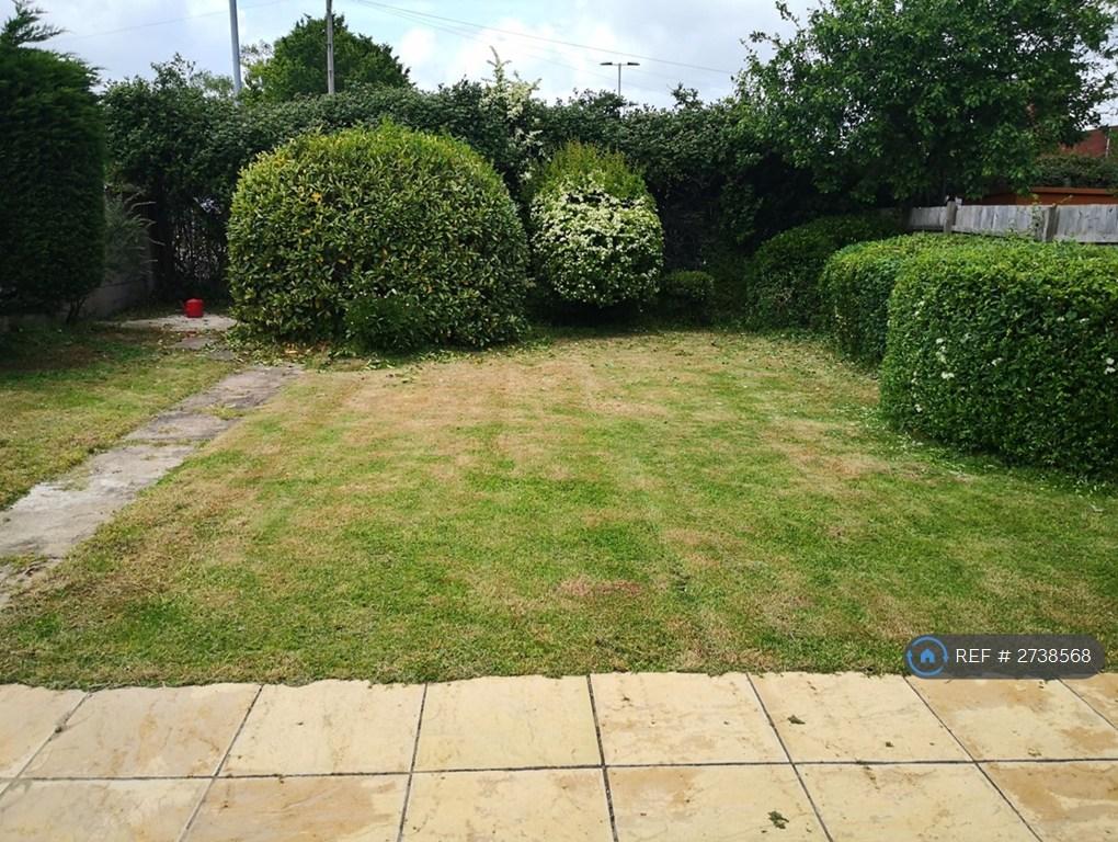 Garden: Spacious Rear Garden With Patio