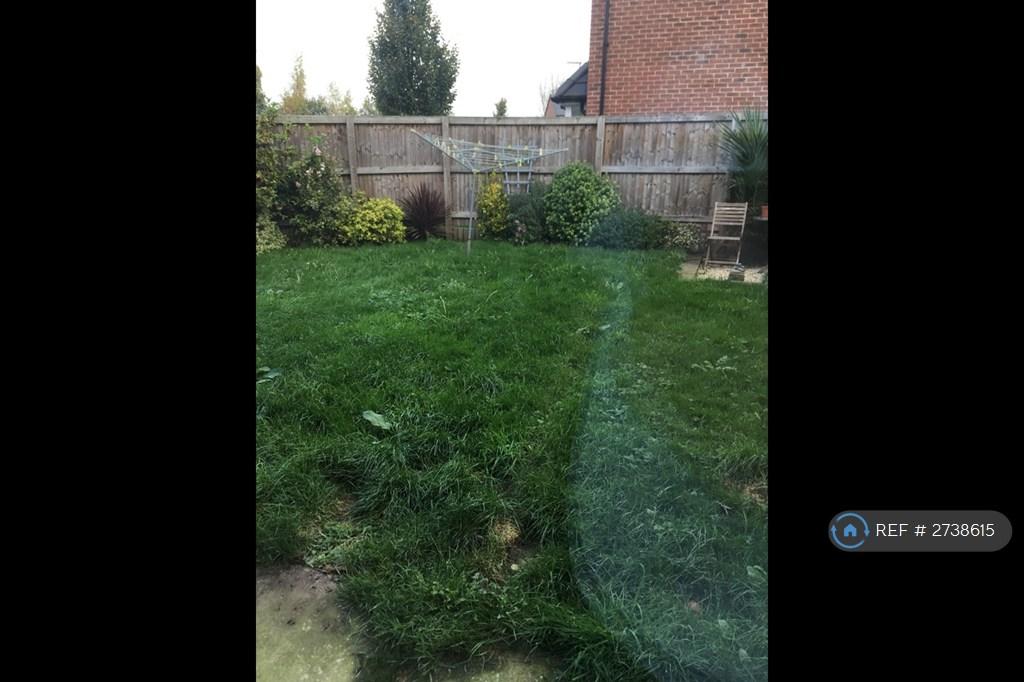 Garden From Patio Doors