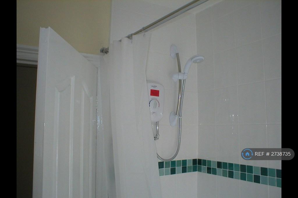 Electric Shower
