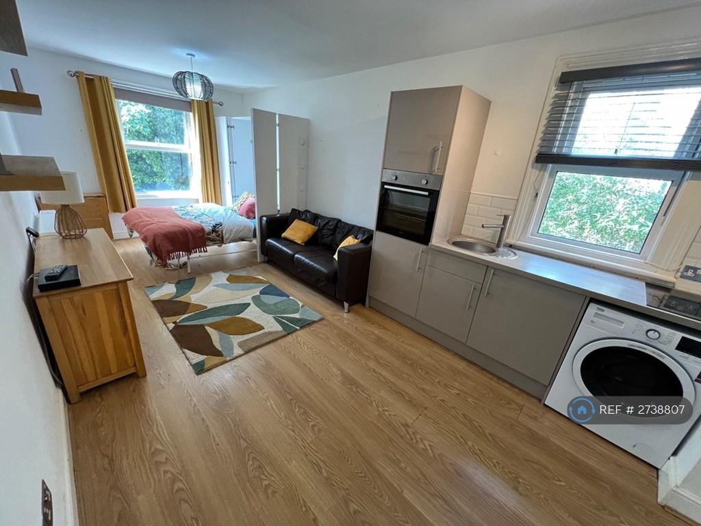 Large Studio Flats With Fold Down Bed
