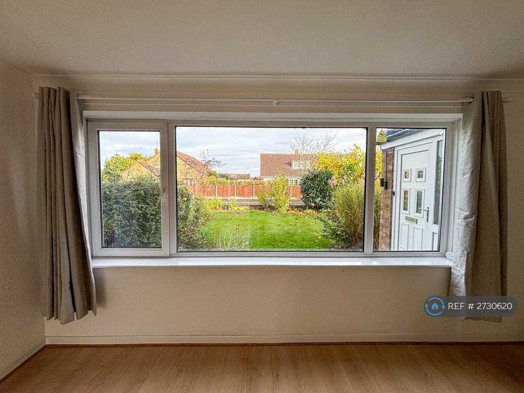 Living Room Window