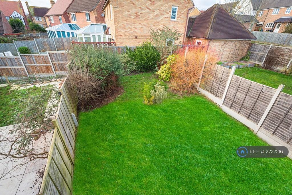 Back Garden