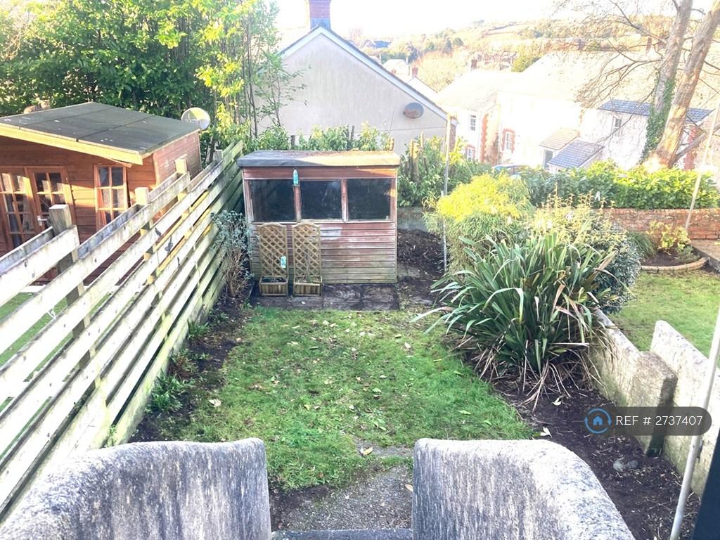 Back Garden