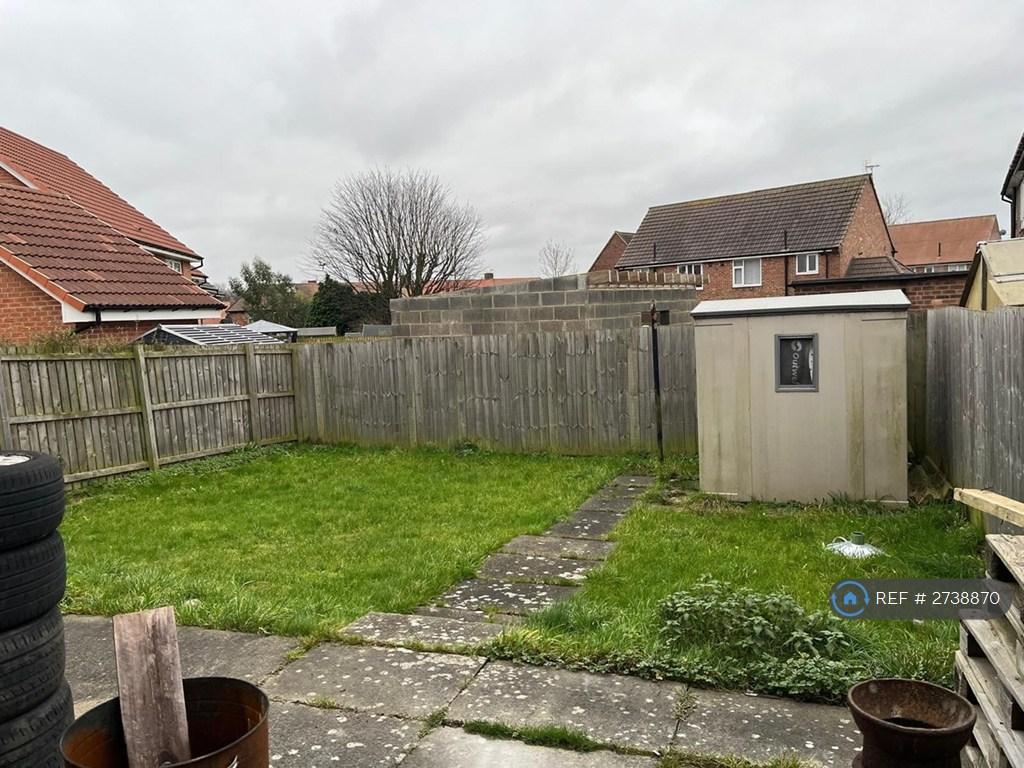 Back Garden