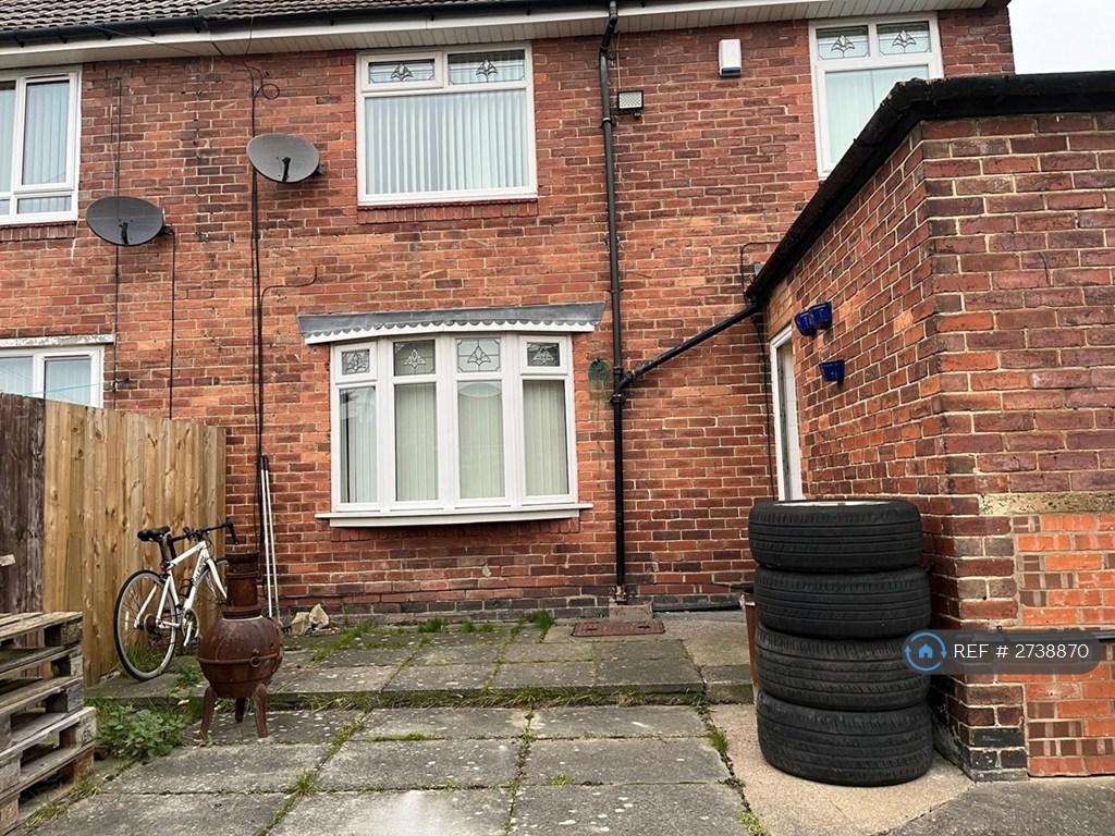 Back Garden
