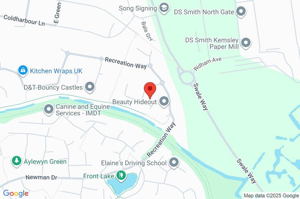 Google Maps Image