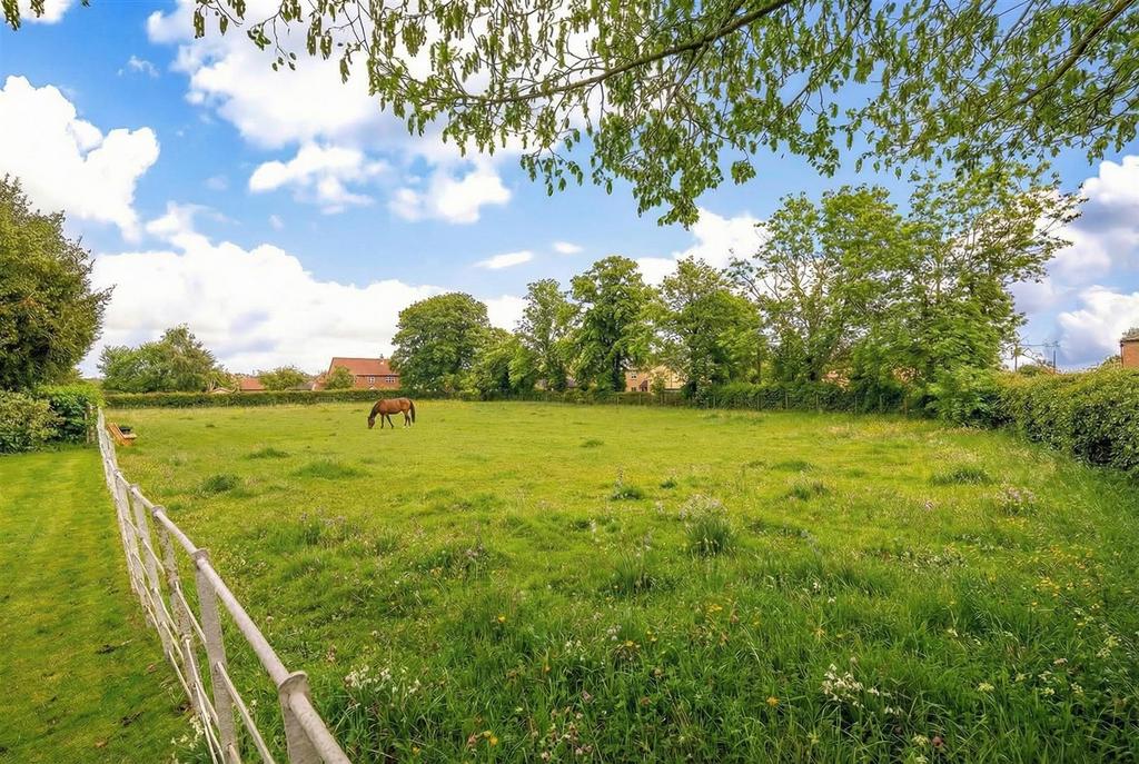 Paddocks 1767336255.jpg
