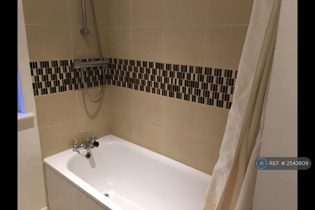 Modern Shower/Bathroom