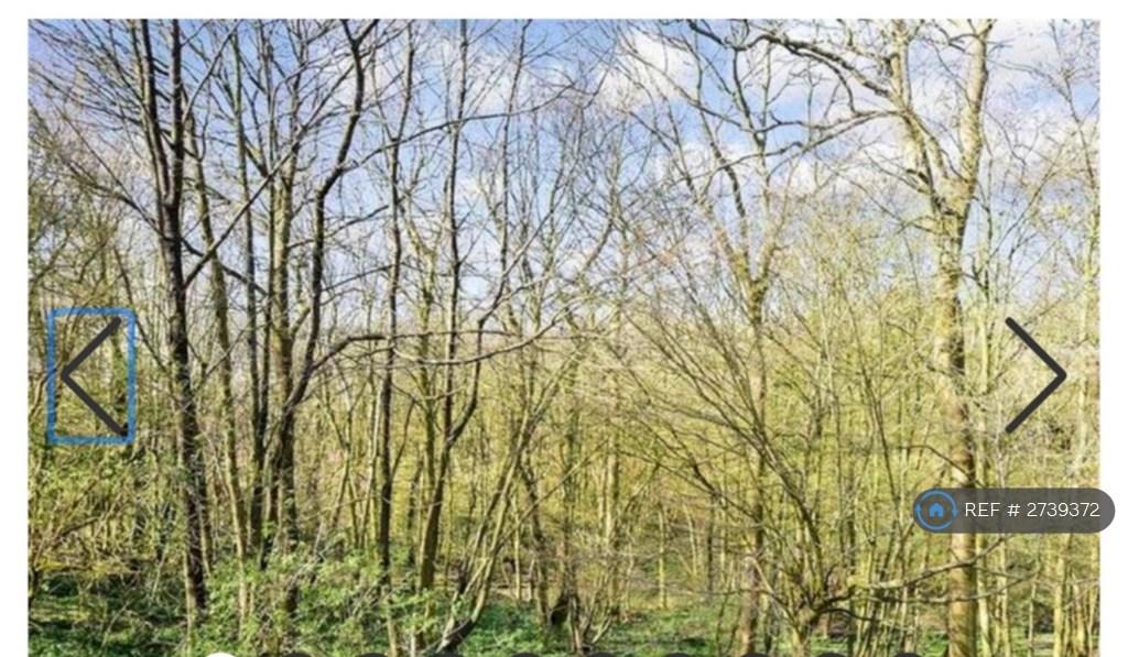 View At Back Of Property