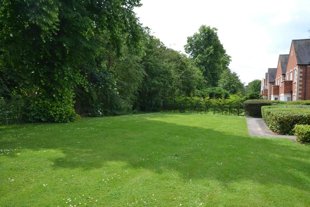 Garden.JPG