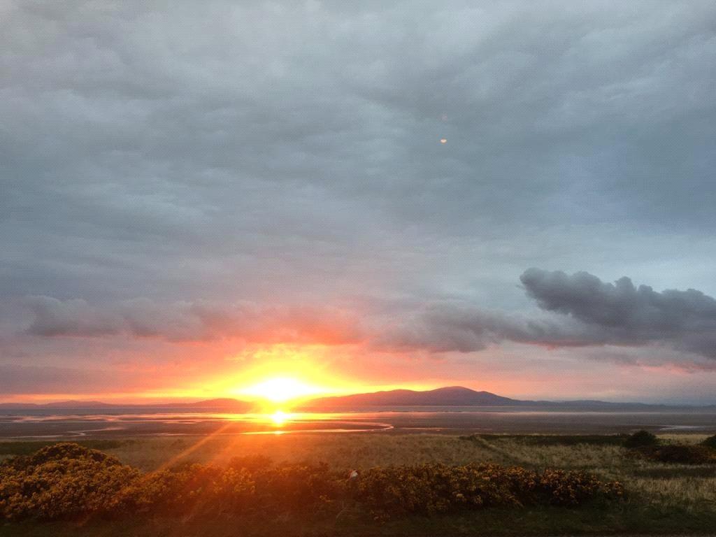 Sunset View