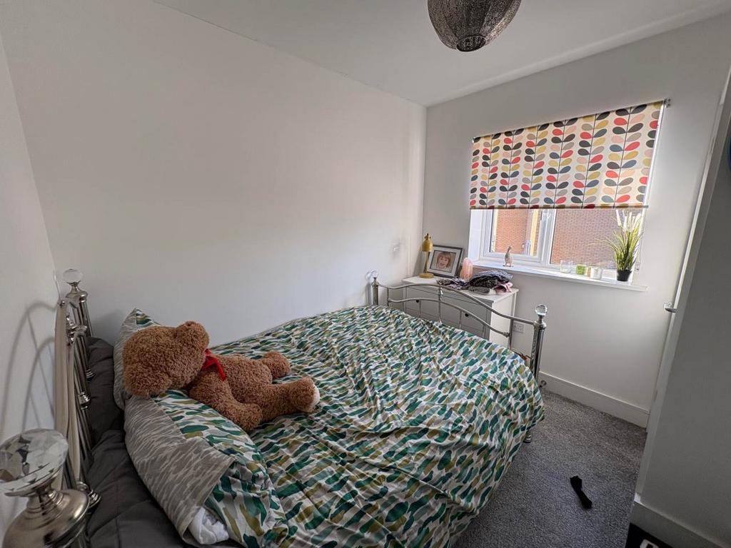 Jackson way 12 bed 2