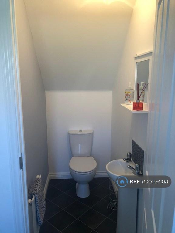 Downstairs Cloak Room