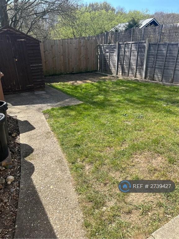 Back Garden