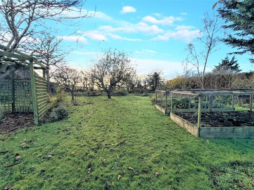 Garden2