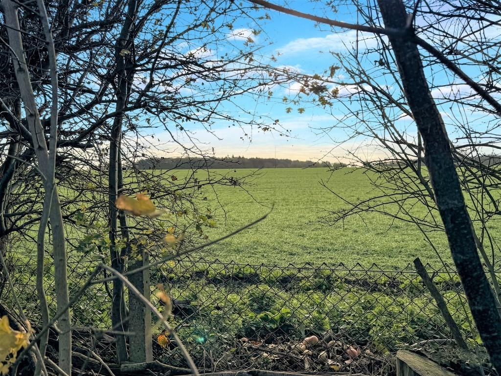 Outlook from rear garden